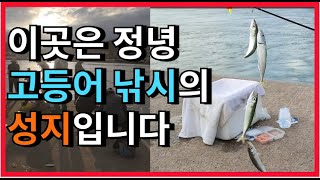 이곳은 정녕 고등어 낚시의 성지입니다 #안흥항 고등어 낚시#신진도 고등어 낚시