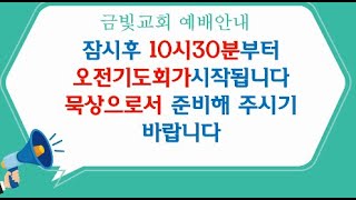 2025년 2월  25일 금빛교회  오전기도회