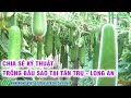 CHIA SẺ KỸ THUẬT BẦU SAO TẠI TÂN TRỤ - LONG AN - NHÀ NÔNG VIỆT THỰC HIỆN