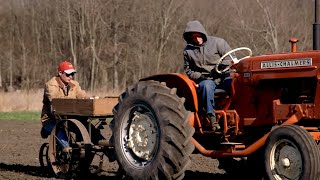 The Chaos of America's Food System