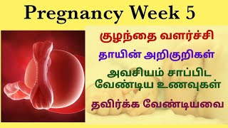 Pregnancy week 5|5 weeks pregnant symptoms in tamil|first trimester pregnancy in tamil|5thweek tamil