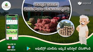 మీరు మార్కెట్ ధర తెలుసుకోవాలనుకుంటున్నారా? -do you want to know market price?