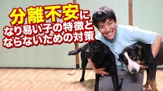 分離不安症になり易いワンちゃんの特徴と対策法についてお話します！