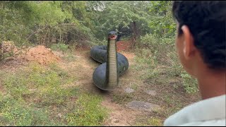 Most REALISTIC Anaconda Snake Attack | Big Python Snake Chase | Fan Made Short Film | VB FILM