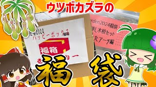 【驚愕の●倍!?】2024年! 食虫植物の福袋がとんでもなかったお話【10年に1度の大放出】