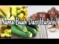 Nama Buah Dari Huruf Z