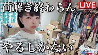 やるしかないのよ、、やるしか