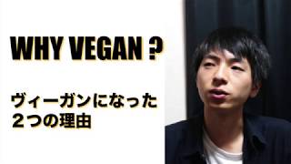 【Veganになった理由】ぺちゃんこの猫が、僕をヴィーガンに変えた。