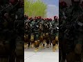 Talibans Red berets March/parade #shorts #afghanistan