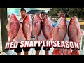 ATLANTIC RED SNAPPER SEASON 2024!! (Limited Out)