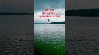 ดูดีๆ นะ! เขาบอกมีจระเข้ยักษ์ ใต้แม่น้ำแห่งนี้ #reels #facebook #crocodile #river #จระเข้ #กลัว