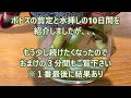 簡単 ポトスを増やそう　剪定と水栽培 10日間とおまけ