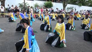 よさこいダンスチーム 東海大学”響”【4K】／NHK前ストリート（初日）／明治神宮奉納 原宿表参道元氣祭 スーパーよさこい2023