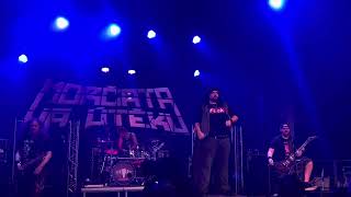 Morčata na útěku - Strastiplná cesta dilda Pytlíka (live in Svitavy 27.4. 2024)