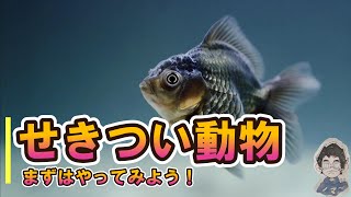 【解説】中１理科　せきつい動物