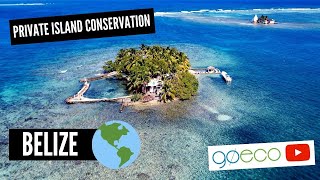 GoEco VOLUNTEER Trip Vlog - Belize Private Island Marine Experience