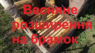 Весняне розширення на 6 рамок.Як перезимувала зла, але робоча бджолосім'я і чому посередині вулика?