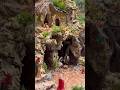 Christmas Nativity Scene #christmas #nativity #art #shortvideo