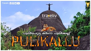 അയ്യപ്പൻ പുലിയെ പിടിച്ച പുലികല്ല്/ Pulikallu#Manimala