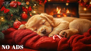 12 Hours of Christmas Music for Dogs 🎄 Ultimate Anxiety Relief 🐾 Calm Your Pet with Xmas Tunes 🎶