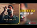 Reza Karami Tara - Shah O Bibi Qalb | OFFICIAL TRACK رضا کرمی تارا - شاه و بی بی قلب