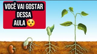 Reprodução das Plantas  em Poesia porque é fácil aprender assim  🌱 😲