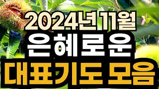 대표기도 예시ㅣ11월 주일예배기도 모음ㅣ11월 대표기도문 모음ㅣ대표기도가 어려운분들을 위한 기도예시문ㅣ2024년 주일 예배 대표기도 준비ㅣ슬기로운 기도생활