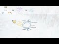 v35. efficient photocatalytic degradation of the herbicide s metolachlor with tio2 fe3o4 rgo 5 ...