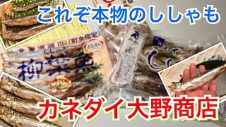 【カネダイ大野商店】これぞ本物のししゃも！