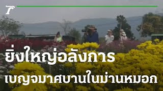 ยิ่งใหญ่อลังการ เบญจมาศบานในม่านหมอก | 03-02-66 | Express NEWS