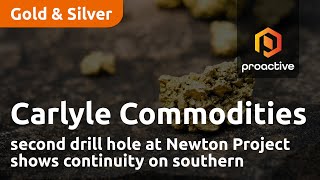 Carlyle Commodities says second drill hole at Newton Project shows continuity on southern boundary