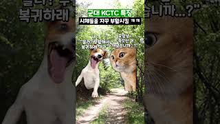 군대 KCTC 특징 #shorts #군대