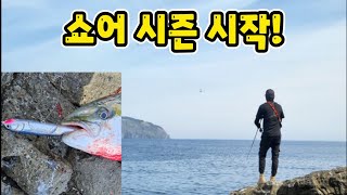 쇼어 플러깅(지깅) 시즌 시작이네요.