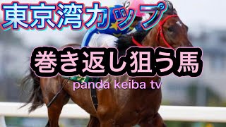 【東京湾カップ 2024】三連単20点フルスイング勝負🔥