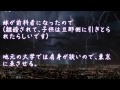 【修羅場】泥を繰り返す従妹の首根っこ押さえてやった【2ちゃんねる@修羅場・浮気・因果応報etc】