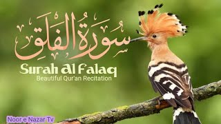 Surah Falaq | surat ul falak | world most beautiful recitation | Noor e Nazar Tv