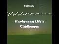 sadhguru s insights on navigating life s challenges