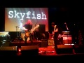 skyfish fever the drive live@atak