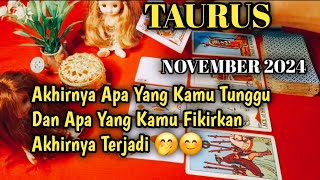 Taurus November 2024