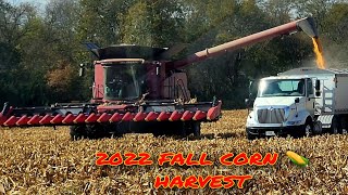 2022 CORN HARVEST 🌽  CASE IH 8240 COMBINE 18 ROW GERINGHOFF CORN HEAD