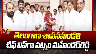 Patnam Mahender Reddy Appointed As Chief Whip of Telangana Legislative Council | Congress | Ntv