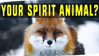 What's Your True Spirit Animal? Personality Test (which animals soul is inside you?)
