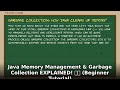 Java Memory Management & Garbage Collection EXPLAINED! 🧠🧹🚀 (Beginner Java Tutorial 2024)