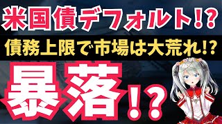 【債務上限問題】米国債がデフォルトの危機!? 債務上限問題で暴落の可能性アリ。具体的な買うべき資産と売るべき資産も徹底解説！