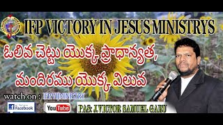 Sunday Worship Message  ఓలివ చెట్టు యొక్క ప్రాధాన్యత మందిరము యొక్క విలువ