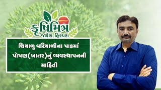 શિયાળુ વરિયાળીના પાકમાં પોષણ (ખાતર )વ્યવસ્થાપન ની માહિતી