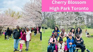 Unbelievable Scene at Cherry Blossom High Park Toronto