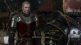 Of Swords and Dumplings - The Witcher 3 pt.20