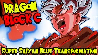 My Super Saiyan Blue Kaioken X10 Power Dragon Block C - 