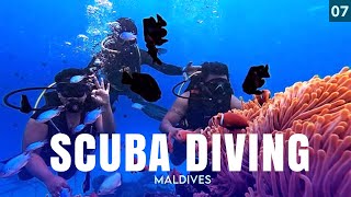 കടലിനടിയിലെ മായാലോകം🐠SCUBA DIVING in maldives🐳#maldives #maldivestravel #4kvideo